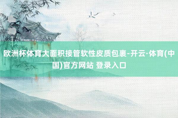 欧洲杯体育大面积接管软性皮质包裹-开云·体育(中国)官方网站 登录入口