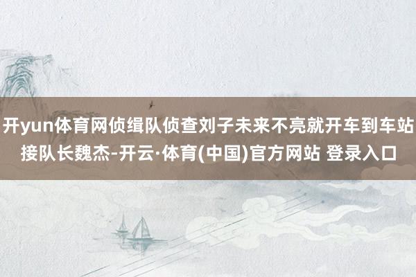 开yun体育网侦缉队侦查刘子未来不亮就开车到车站接队长魏杰-开云·体育(中国)官方网站 登录入口