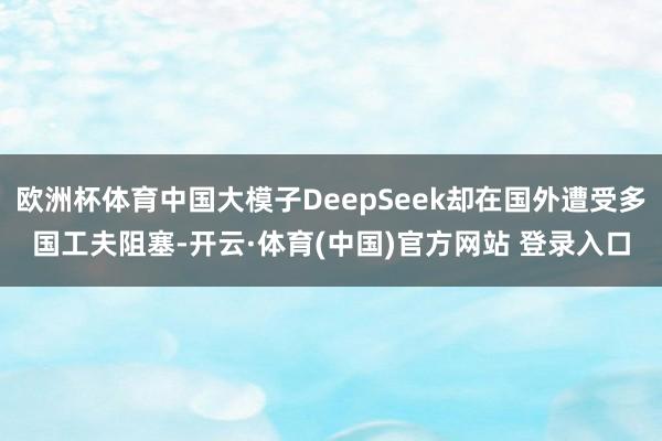 欧洲杯体育中国大模子DeepSeek却在国外遭受多国工夫阻塞-开云·体育(中国)官方网站 登录入口