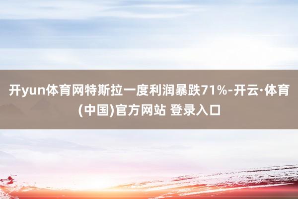 开yun体育网特斯拉一度利润暴跌71%-开云·体育(中国)官方网站 登录入口