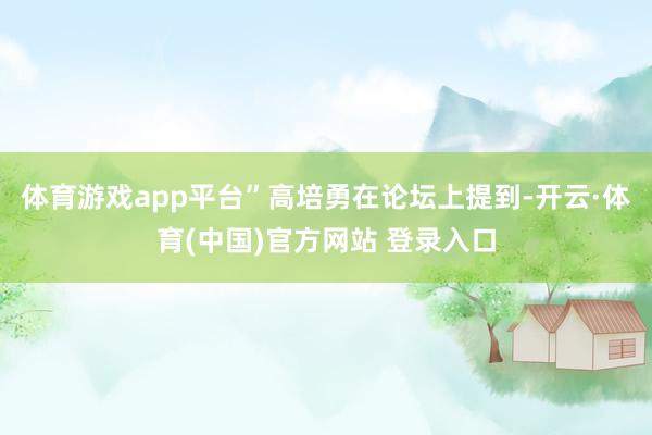 体育游戏app平台”高培勇在论坛上提到-开云·体育(中国)官方网站 登录入口
