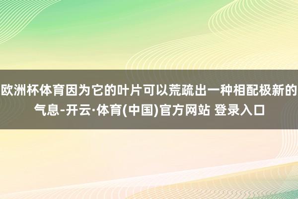 欧洲杯体育因为它的叶片可以荒疏出一种相配极新的气息-开云·体育(中国)官方网站 登录入口