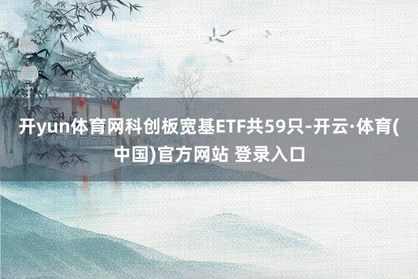 开yun体育网科创板宽基ETF共59只-开云·体育(中国)官方网站 登录入口