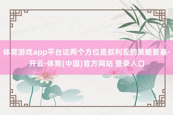 体育游戏app平台这两个方位是叙利亚的策略要塞-开云·体育(中国)官方网站 登录入口