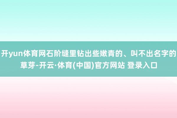 开yun体育网石阶缝里钻出些嫩青的、叫不出名字的草芽-开云·体育(中国)官方网站 登录入口