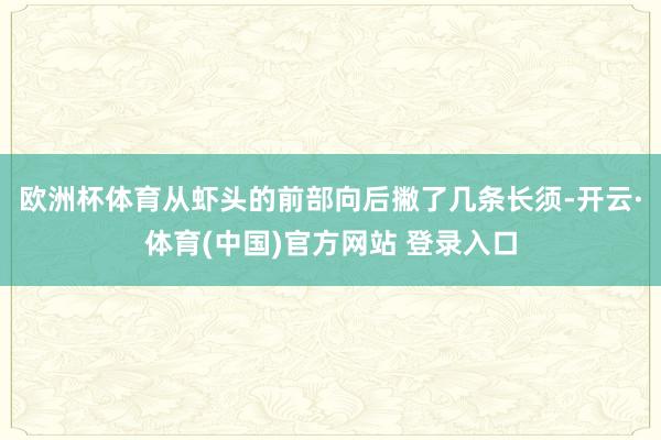 欧洲杯体育从虾头的前部向后撇了几条长须-开云·体育(中国)官方网站 登录入口