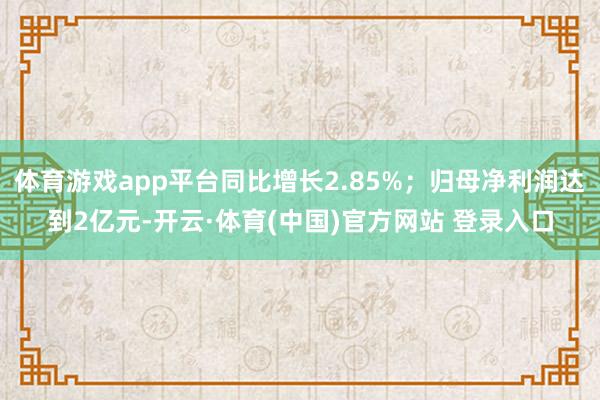 体育游戏app平台同比增长2.85%；归母净利润达到2亿元-开云·体育(中国)官方网站 登录入口