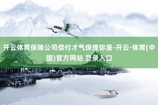 开云体育保障公司偿付才气保捏弥漫-开云·体育(中国)官方网站 登录入口