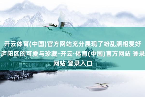 开云体育(中国)官方网站充分展现了纷乱照相爱好者对庐阳区的可爱与珍藏-开云·体育(中国)官方网站 登录入口