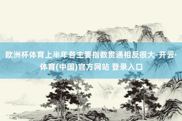 欧洲杯体育上半年各主要指数贯通相反很大-开云·体育(中国)官方网站 登录入口